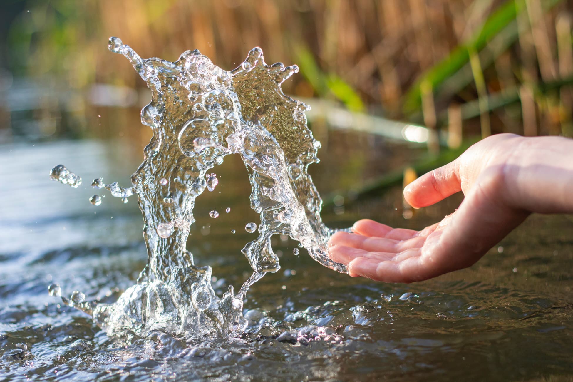 Une main joue avec l’eau dans la nature